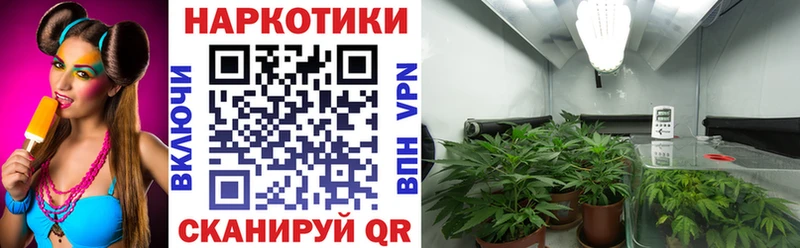 Наркошоп купить Альфа ПВП  Бошки Шишки  АМФ  Меф  Гашиш  Cocaine  Королёв