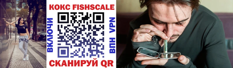 COCAIN Fish Scale  Купить закладки  Королёв 